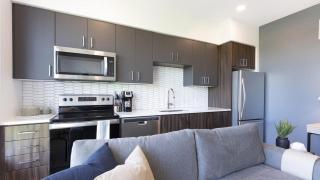 Landing Modern Apartment with Amazing Amenities (ID5061X74) - 5