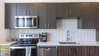 Landing Modern Apartment with Amazing Amenities (ID5061X74) - 3