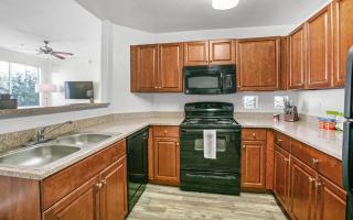 Landing Modern Apartment with Amazing Amenities (ID7950X63) - 4