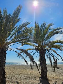 CASA BLANCA - Santa Pola - 5