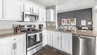 Landing Modern Apartment with Amazing Amenities (ID4301X28) - 6