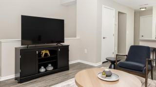 Landing Modern Apartment with Amazing Amenities (ID5681) - 0