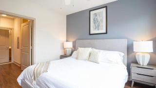 Landing Modern Apartment with Amazing Amenities (ID4566X63) - 5