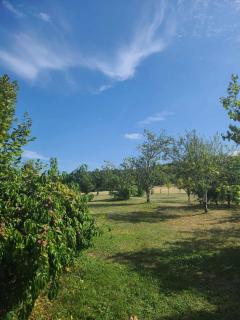 Naturaleza-Gîte les Cèdres - Tournon-dʼAgenais - 1