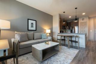 Landing Modern Apartment with Amazing Amenities (ID3050X50) - Austin - 0
