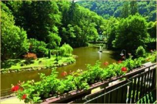 Hotel Residenz - Bad Bertrich - 6