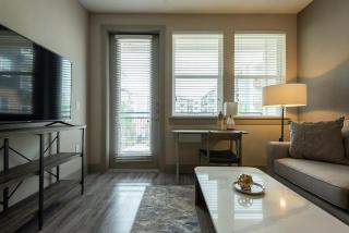 Landing Modern Apartment with Amazing Amenities (ID3050X50) - Austin - 9
