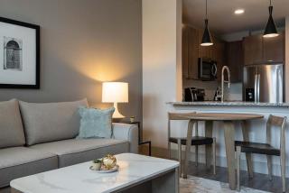 Landing Modern Apartment with Amazing Amenities (ID3050X50) - Austin - 7