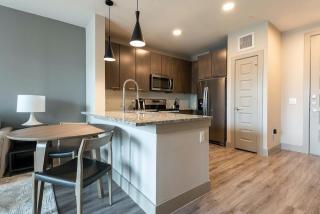 Landing Modern Apartment with Amazing Amenities (ID3050X50) - Austin - 6
