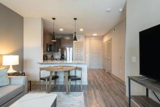 Landing Modern Apartment with Amazing Amenities (ID3050X50) - Austin - 4
