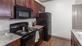 Landing Modern Apartment with Amazing Amenities (ID8123X17) - 4