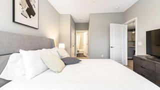Landing Modern Apartment with Amazing Amenities (ID8112X15) - 3