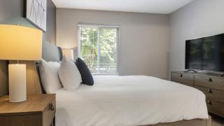 Landing Modern Apartment with Amazing Amenities (ID9191X62) - 5