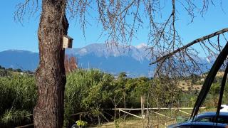 B&B L'Albero Di Antonia - Atri - 5