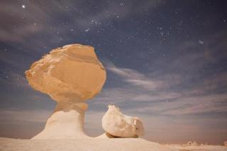 white desert safari camp - 1