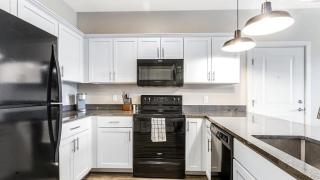 Landing Modern Apartment with Amazing Amenities (ID8147X5) - 6