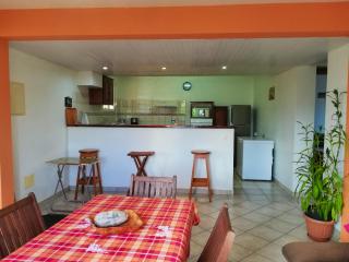 Appartement charmant en centre-ville de Sainte-Luce, 80 m² + vue - Sainte-Luce - 9