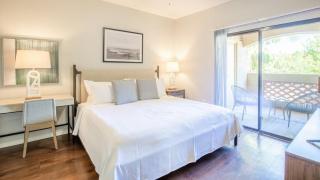 Landing Modern Apartment with Amazing Amenities (ID7376X99) - 1