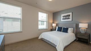 Landing Modern Apartment with Amazing Amenities (ID6842X82) - 3