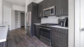 Landing - Modern Apartment with Amazing Amenities (ID1403X352) - Houston - 4