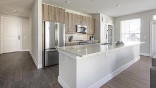 Landing - Modern Apartment with Amazing Amenities (ID1403X417) - Katy - 3