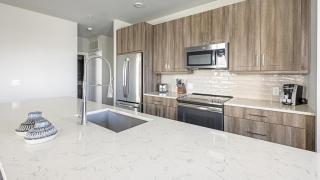 Landing - Modern Apartment with Amazing Amenities (ID1403X417) - Katy - 1