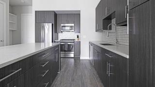 Landing - Modern Apartment with Amazing Amenities (ID1403X351) - Houston - 4