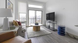 Landing - Modern Apartment with Amazing Amenities (ID1403X401) - Houston - 5