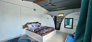 Le lataniers - Rodrigues Island - 1
