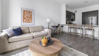 Landing - Modern Apartment with Amazing Amenities (ID1403X402) - Houston - 9