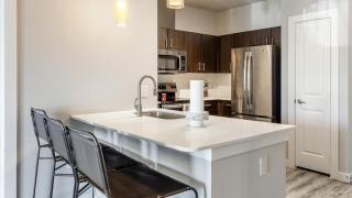 Landing Modern Apartment with Amazing Amenities (ID7345X71) - 8