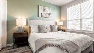 Landing Modern Apartment with Amazing Amenities (ID7345X71) - 7
