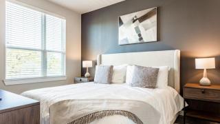 Landing Modern Apartment with Amazing Amenities (ID7345X71) - 1