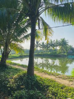 Laoxao Lakeview Homestay - Hoi An - 4