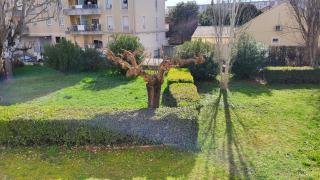 Les Tourterelles d'Avignon - Avignon - 2