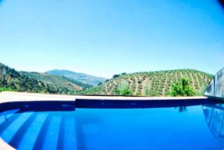 Elegant house near Granada with shared pool - Montefrío - 6