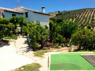 Elegant house near Granada with shared pool - Montefrío - 8
