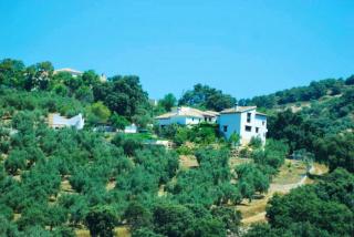 Elegant house near Granada with shared pool - Montefrío - 7
