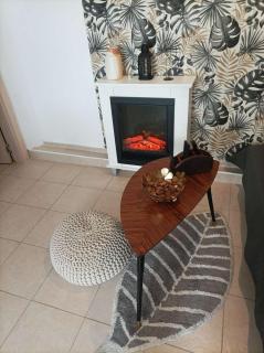 ART ATELIER GERI with a terrace, free parking & wi-fi - Blagoevgrad - 1