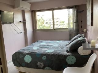 Appartement 2 pièces meublés à Juan Les Pins - Antibes - 6