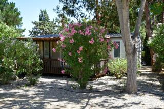Location du Ranch - Algajola - 8