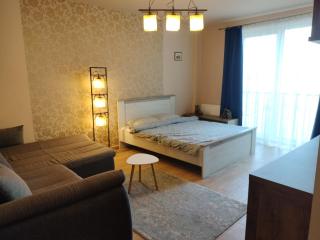 Central Apartment in Mihai Viteazu Square - Cluj-Napoca - 0