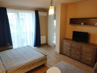 Central Apartment in Mihai Viteazu Square - 8