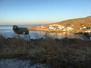 Villa Paloma, Tinos Island - Kardiani - 8