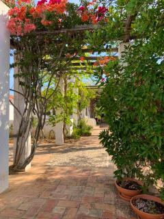 House with private pool in Silves - Pets welcome - Silves - 1