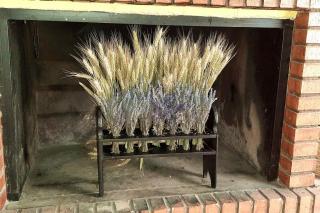 Charming House in Orés - 4