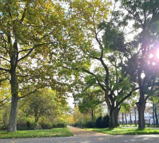 Monteurwohnung, zentral, voll ausgestattet in Uninähe - Mainz - 8