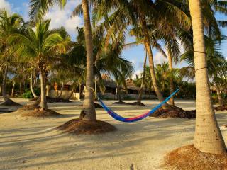 Costa De Cocos - Xcalak - 6