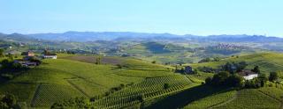 Vista sul patrimonio dell'Unesco - Cortiglione - 7