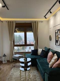 Apartman A&N Zlatibor - Zlatibor - 5